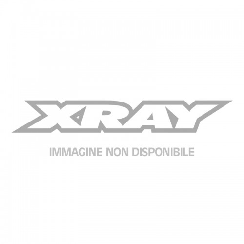 XRAY XT8.2 - 1/8 LUXURY NITRO RACING TRUGGY